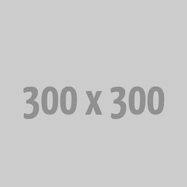 Explore our curated gallery featuring exceptional photography and creative artistry.